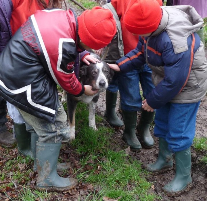Edward Wilson Primary School Visit Chalkhouse Green Farm